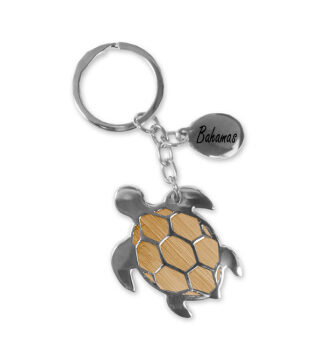BAM-TURTLE-KC